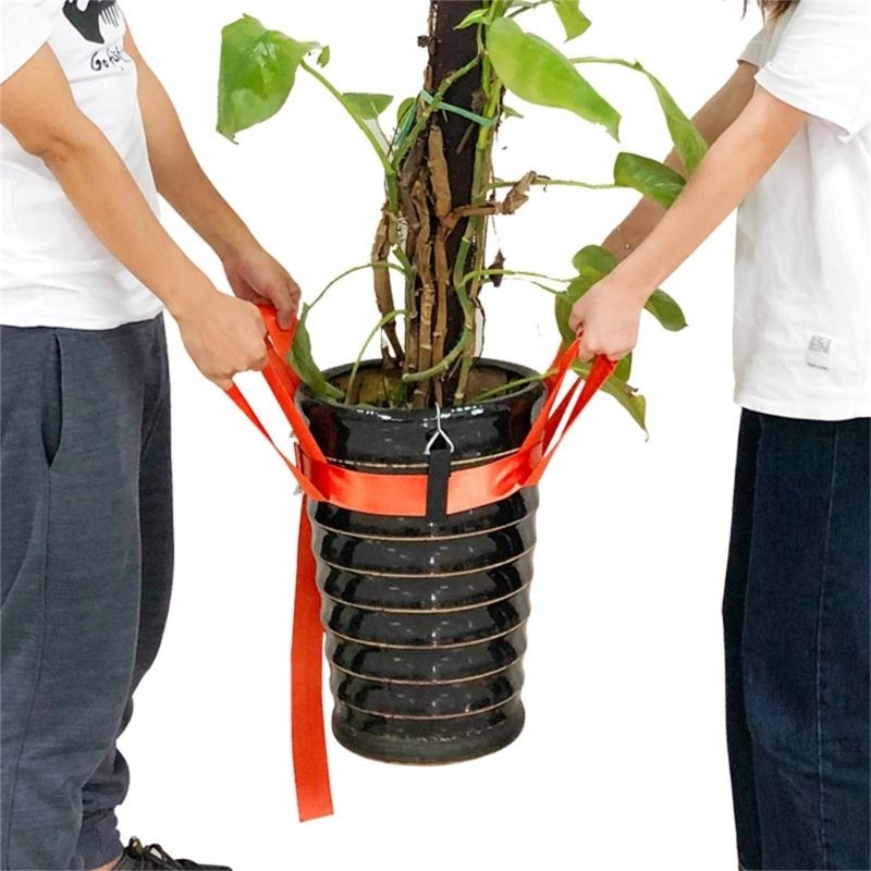 Correa elevación plantas mudan - Heavy Equipment Lifting reseña y precio